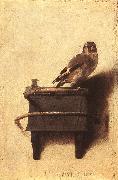 FABRITIUS, Carel The Goldfinch dfgh oil painting reproduction